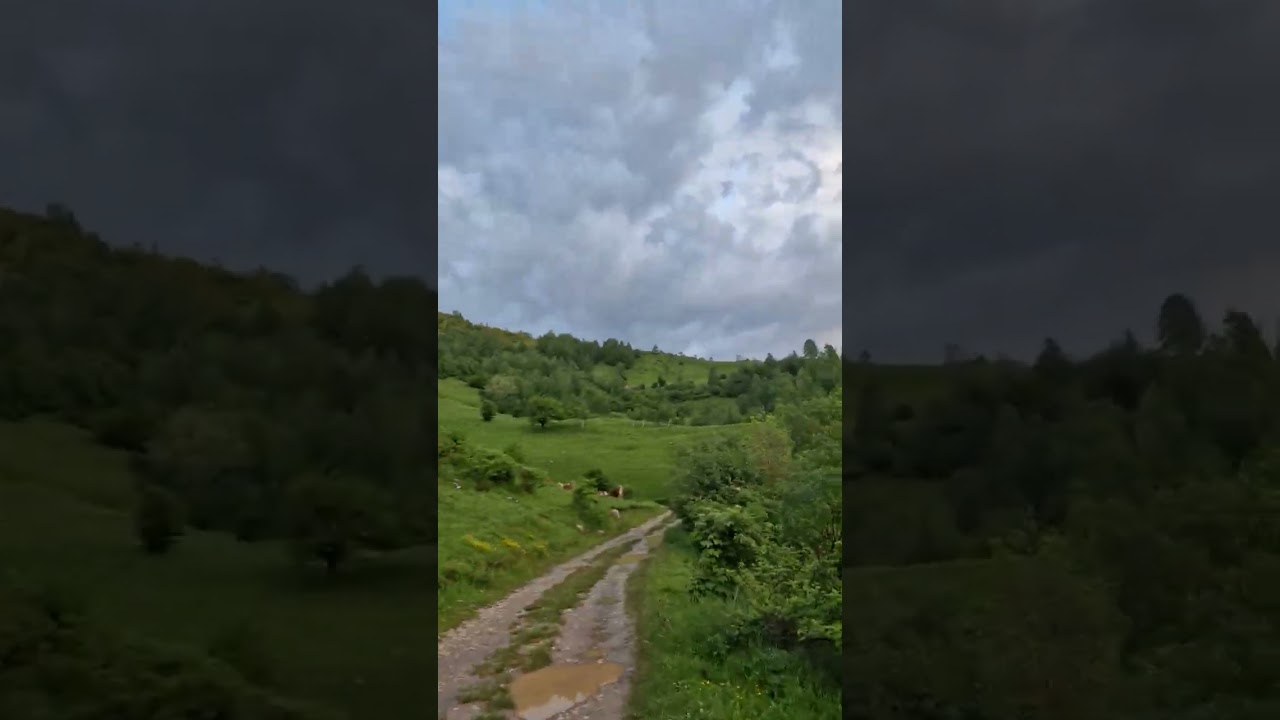 Muntii Sureanu.
