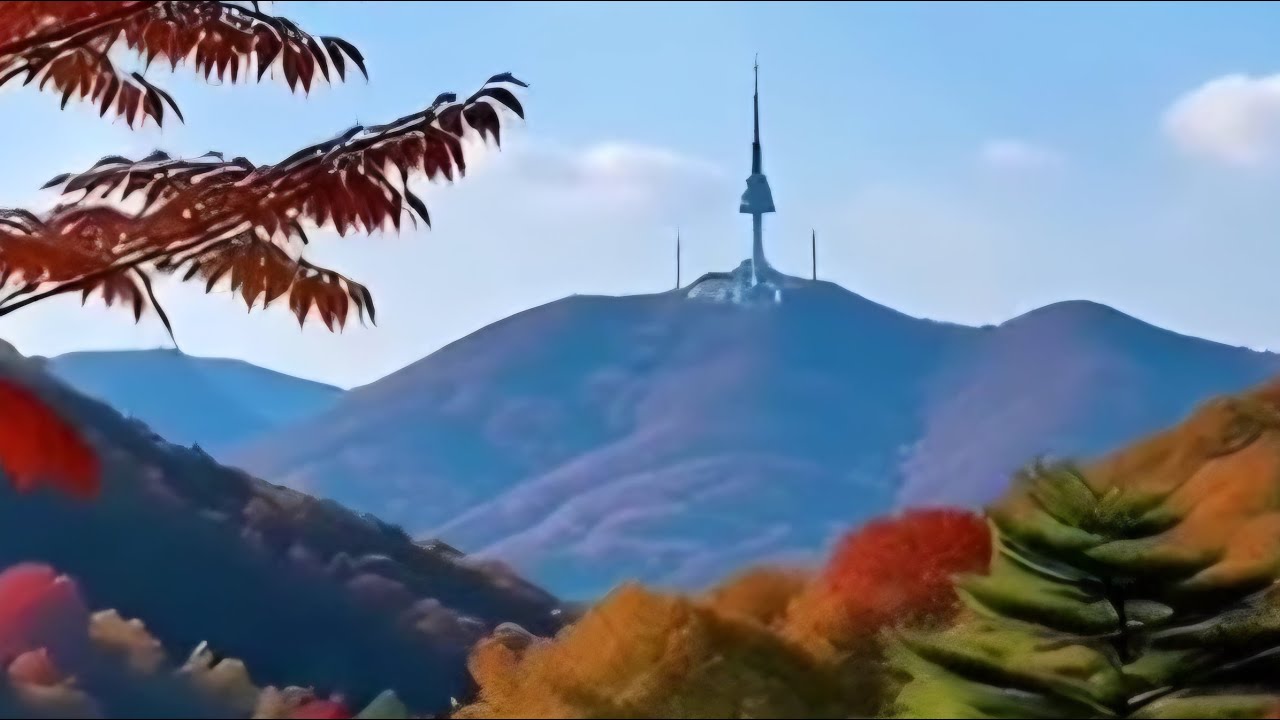 박달재tv ☘️ 라이브 방송 줄거운 주말되세요