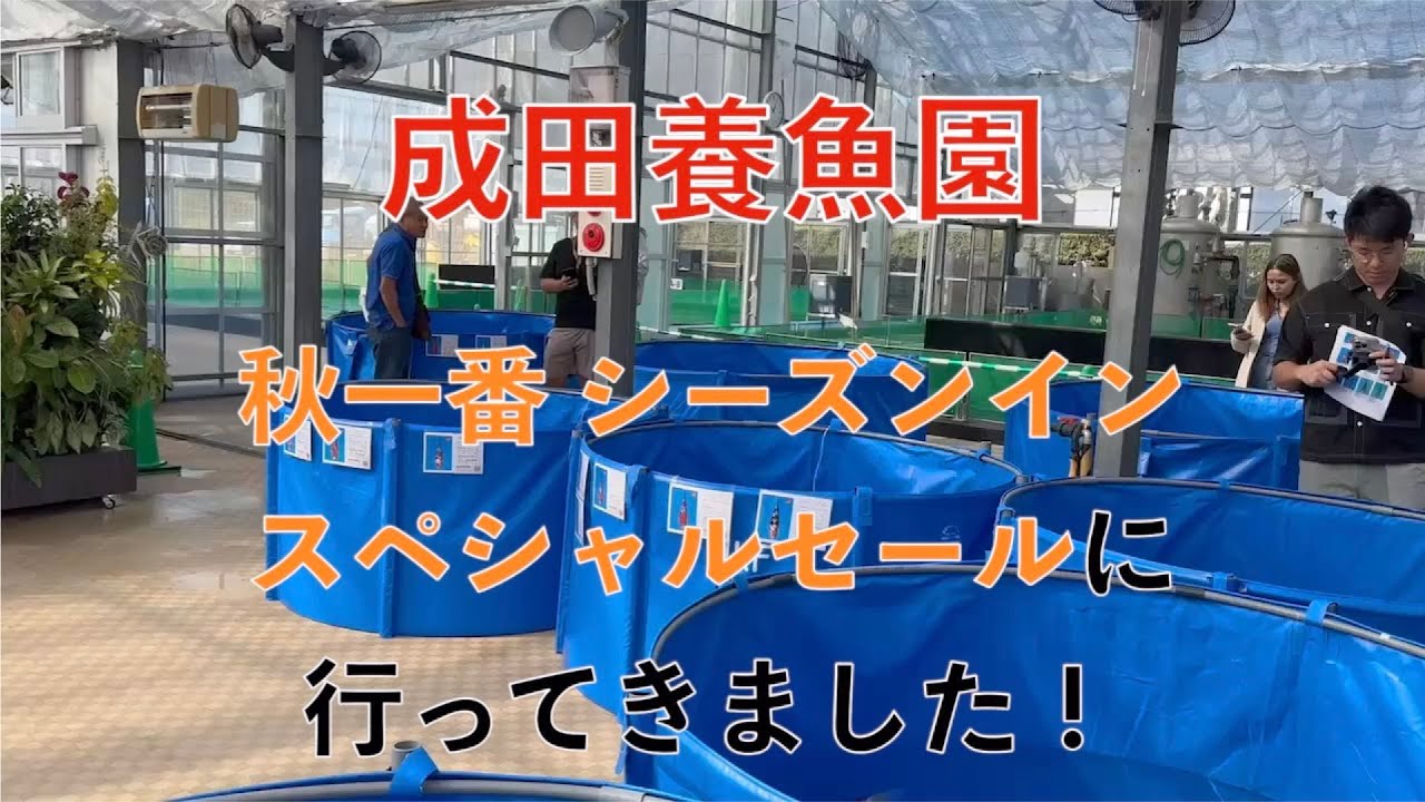 成田養魚園　秋一番シーズンインスペシャルセールに行ってきました！