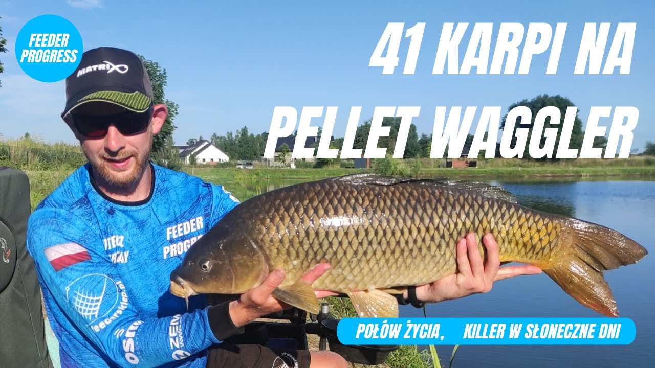 41 KARPI NA PELLET WAGGLER ! ! !  * POŁÓW ŻYCIA, KILLER W SŁONECZNE DNI*  #17