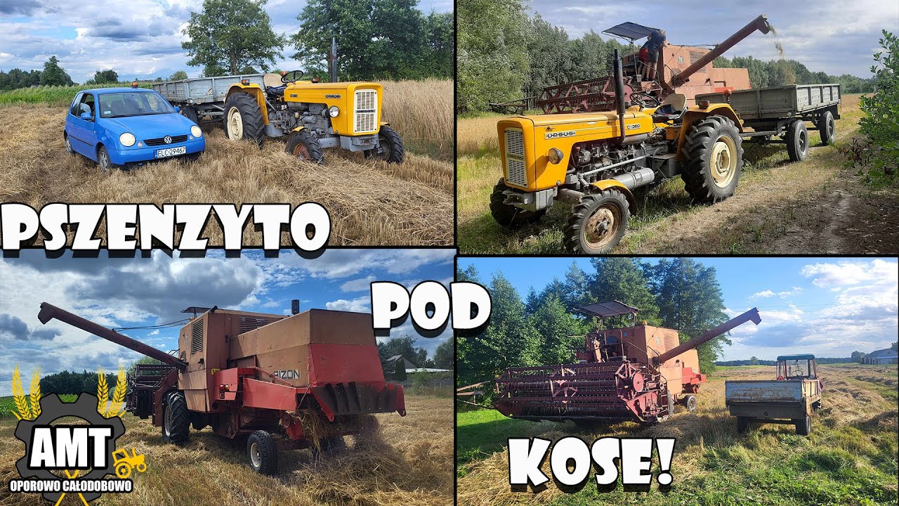 ☆Żniwa Pszenżyta✔️Rozładunek zboża🔥BEKA z Ekipą😂