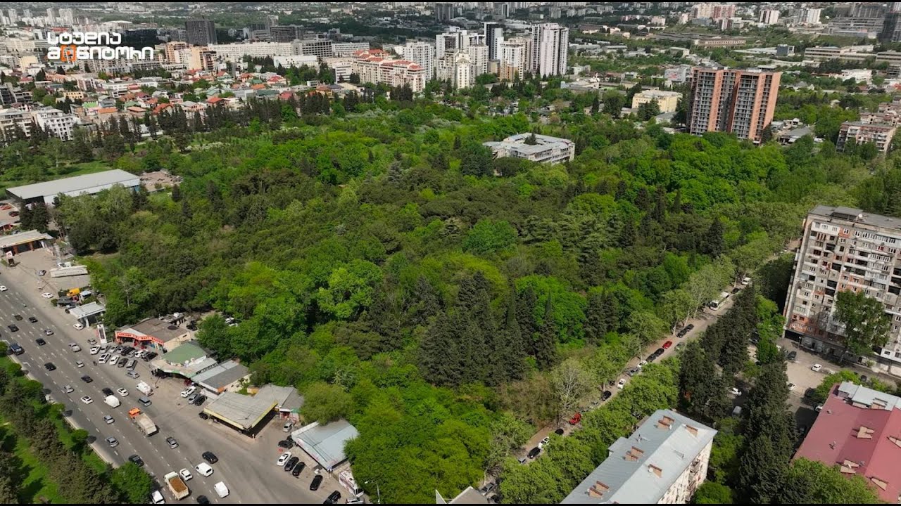 ქმნის თუ არა საფრთხეს დიღმის ტყე-პარკთან მოწყობილი წყალარინების ქსელი?