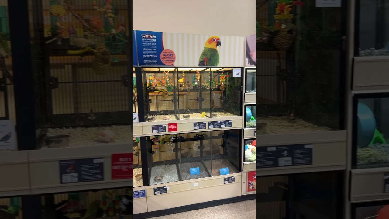 PetSmart Markham  On Canada Part 1