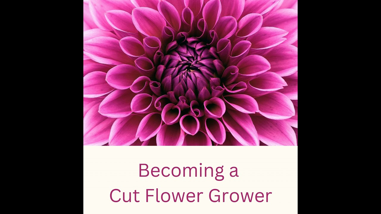 Crop Planning: How I'm Doing It, What The Data Shows, What I Learnt Today That Means I Need To Ma...