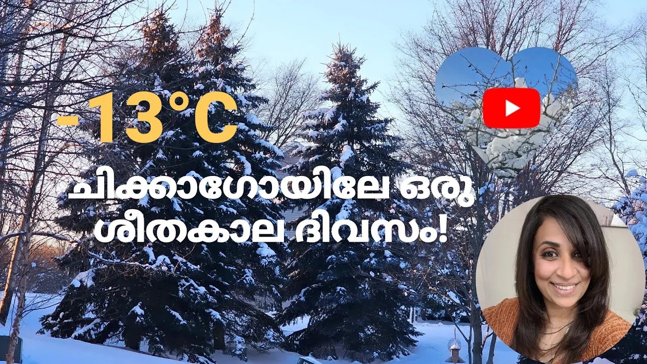 AFTER ONE WEEK, വീട്ടിൽനിന്നും പുറത്ത് ഇറങ്ങിയപ്പോൾ | Winter in Chicago| Malayalam vlog