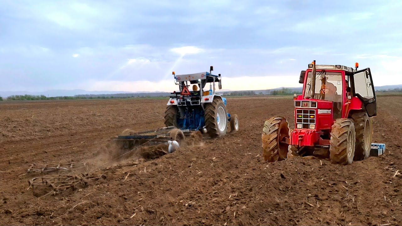 Ford 6600  la disc 2025