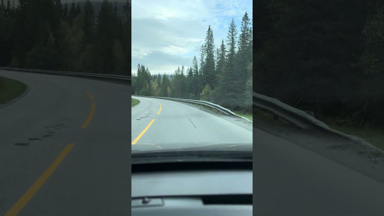 Driving in Norway #nature #scenicnorway #norway
