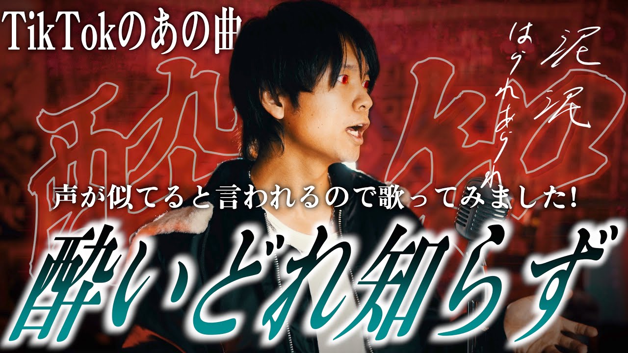 【酔いどれ知らず】メガテラさんに声質似てると言ってもらえるので歌ってみました【kanaria】