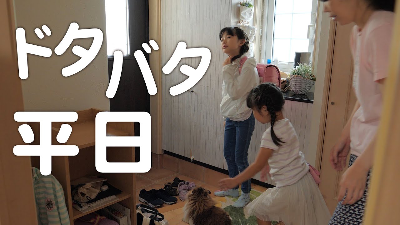 平日の朝、学校準備＆登校から帰宅までのルーティン。ママは家で何してる？