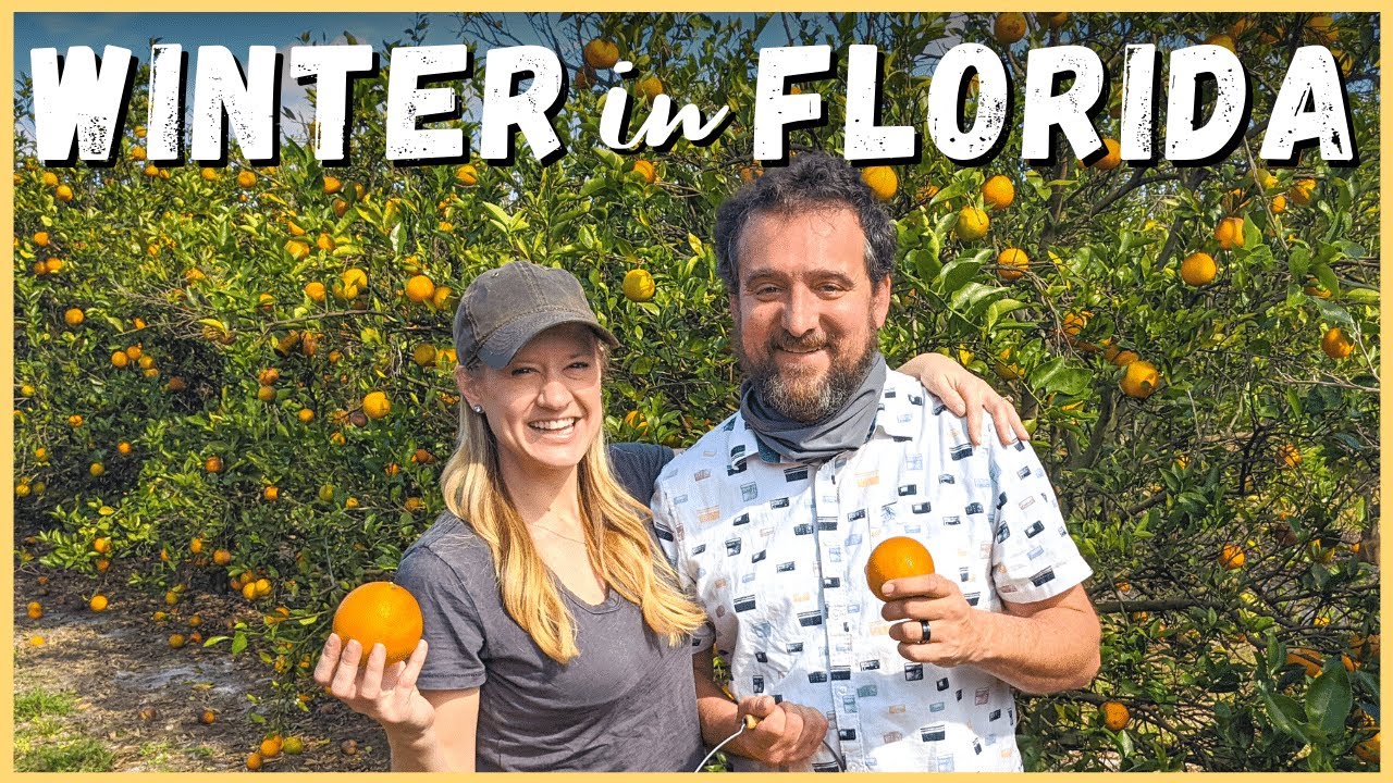 😎🍊 Manatees to Citrus, Take Your Pick in Florida! | Newstates in the States
