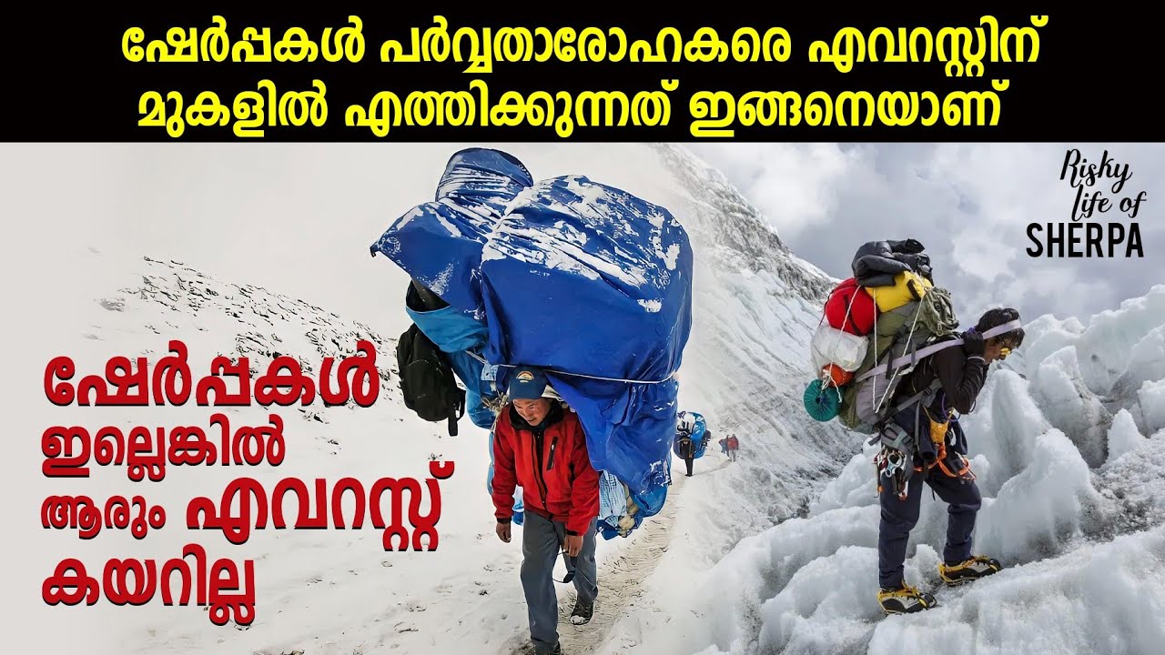 ഷേർപ്പകളുടെ സാഹസിക ജീവിതം | How Sherpas helping mountaineers to climb mount Everest