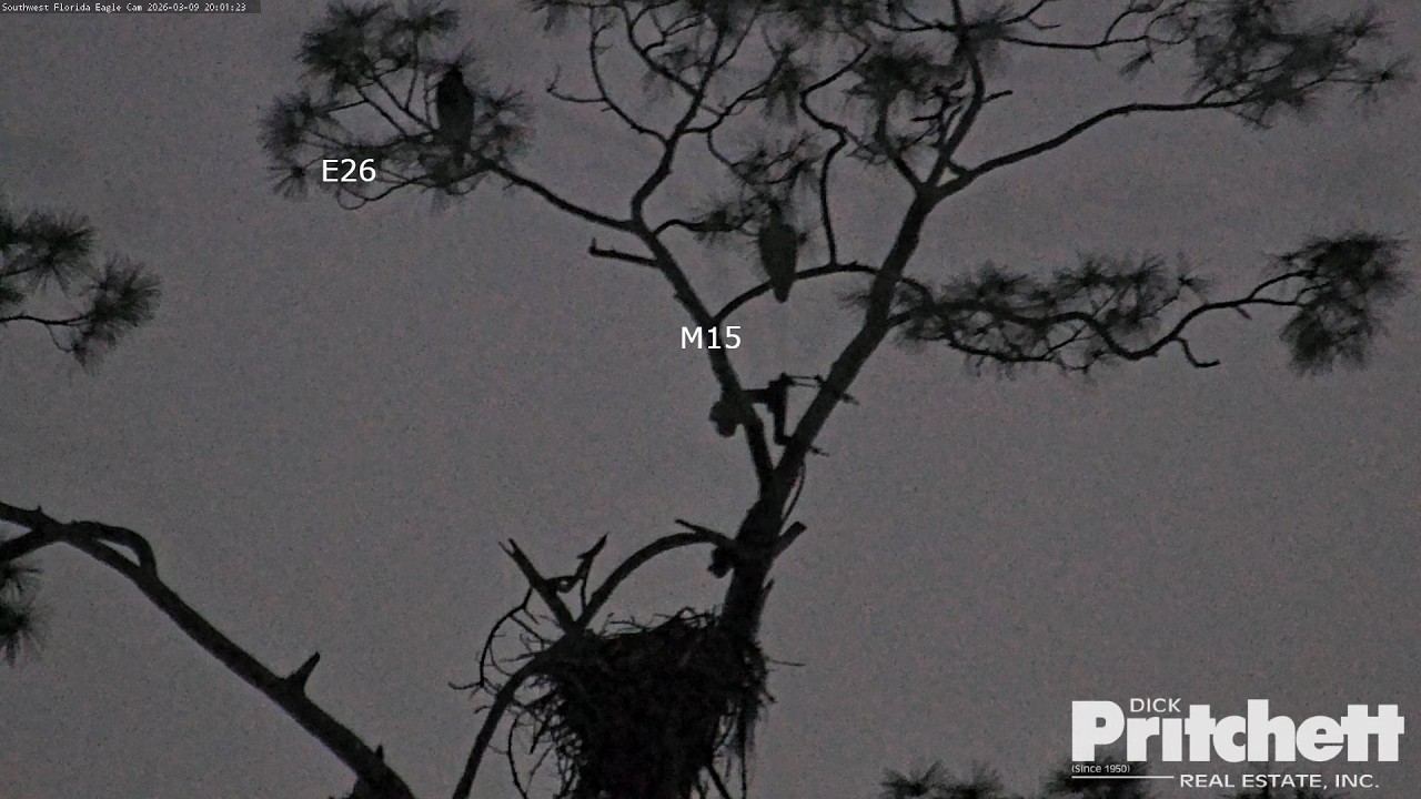 SWFL. E26 reaches new heights! 🥳 /18:58/ 2026-03-09