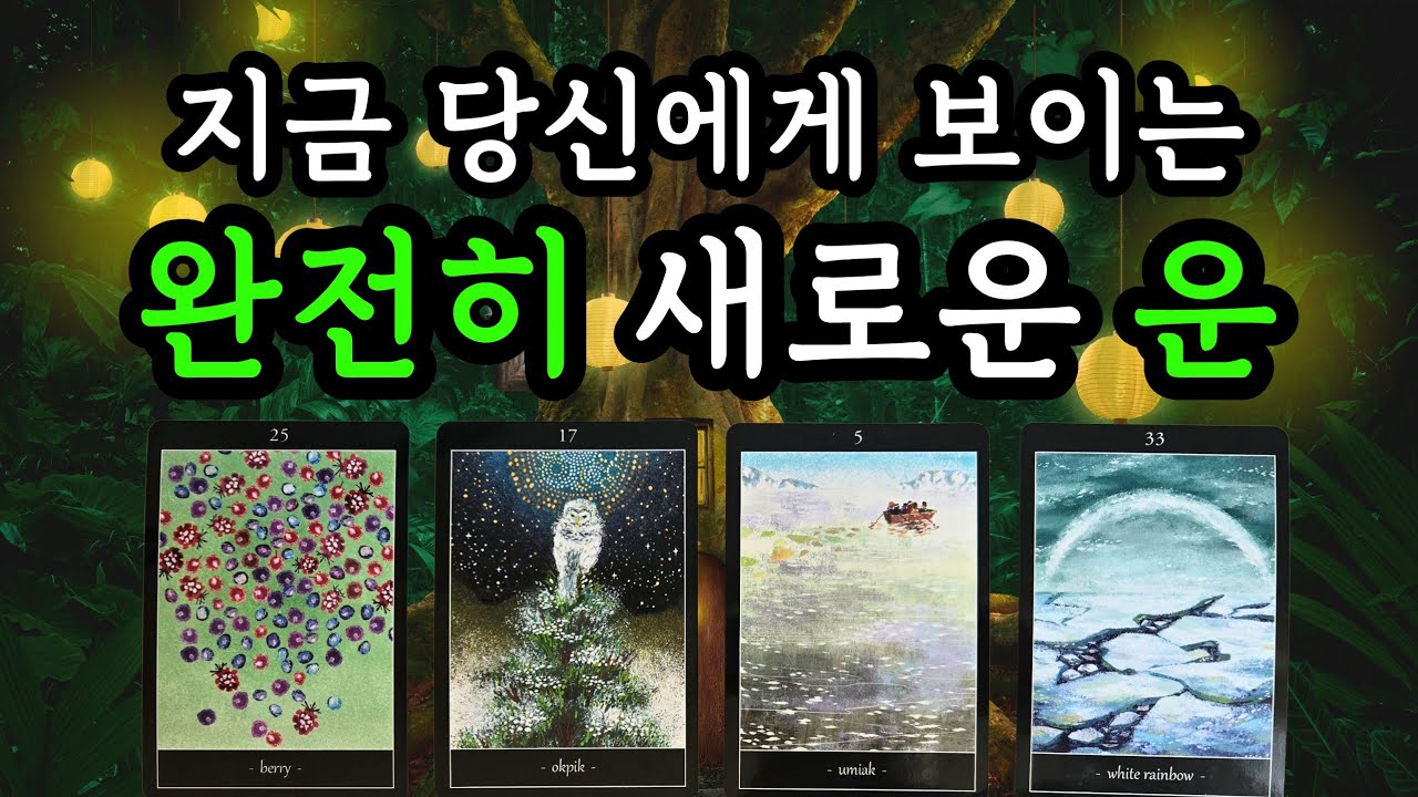 🌜타로☀️ 지금 당신에게 보이는 완전히 새로운 운!