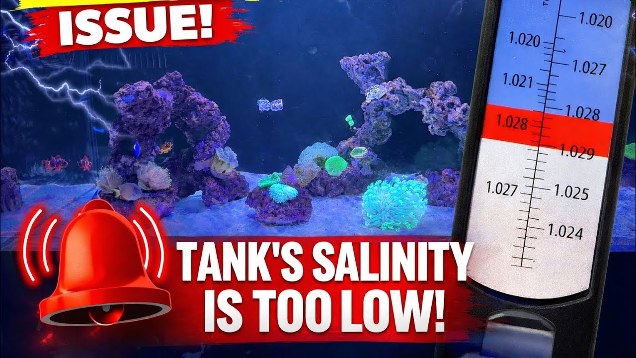 This isn't good! | Gc Reefer 