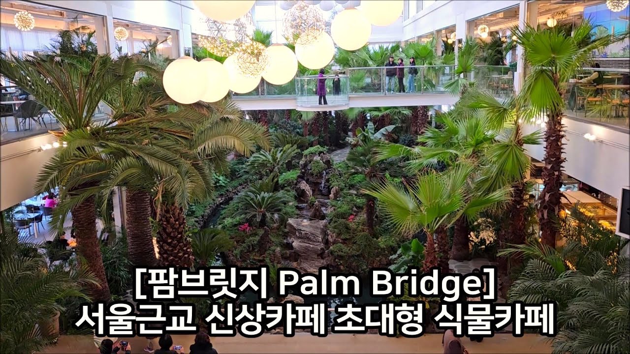 [팜브릿지] Cafe Palm Bridge 서울근교 신상카페, 초대형 식물카페, 포천 고모리, 포천 가볼만한 카페