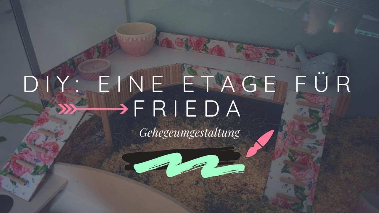 DIY: Eine Etage für Frieda ♥ Gehegeumgestaltung | Nana