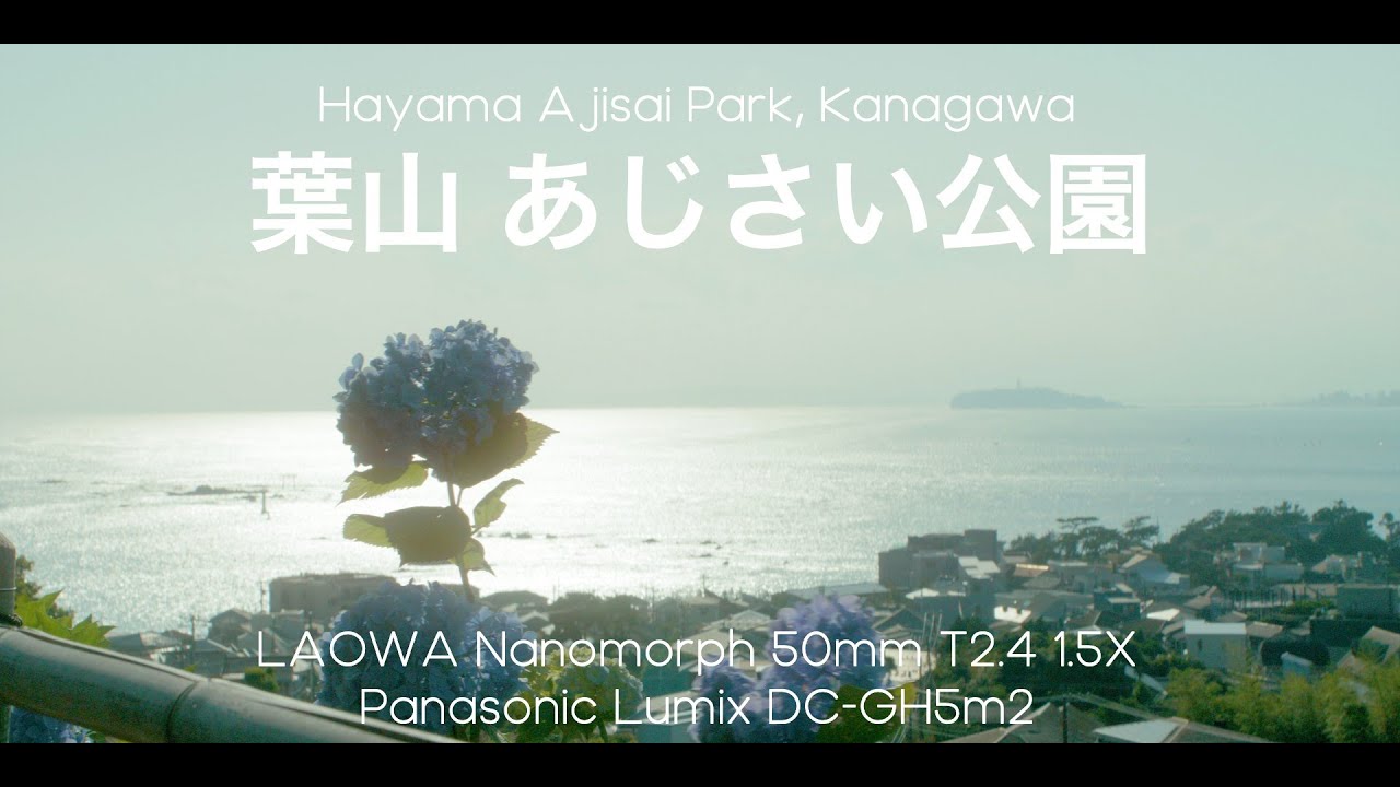 葉山 あじさい公園 | Lumix DC-GH5m2 Open Gate | LAOWA Nanomorph 50mm T2.4 1.5X Anamorphic Super35