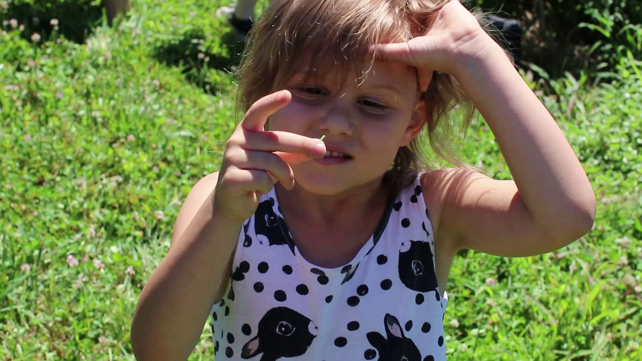 berrypicking