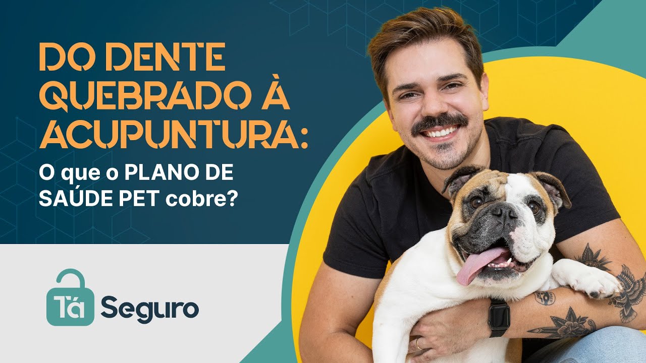 Do dente quebrado à acupuntura: o que o PLANO DE SAÚDE PET cobre?