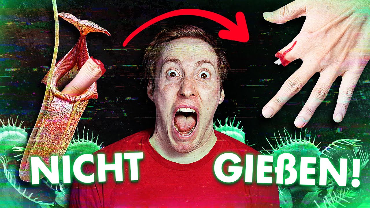 DUMM? Diese Pflanzen HALTEN MENSCHEN WIRKLICH