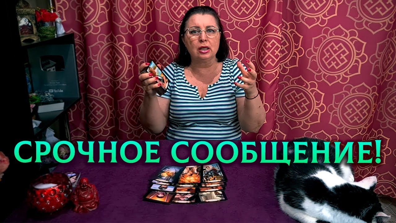 ЕГО ЛОМАЕТ И КОЛБАСИТ! Какое сообщение он хочет срочно отправить вам?