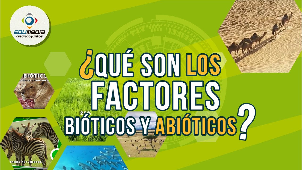 &iquest;Qu&eacute; son los factores bi&oacute;ticos y abi&oacute;ticos?  Ejemplos de factores bioticos y abi&oacute;ticos