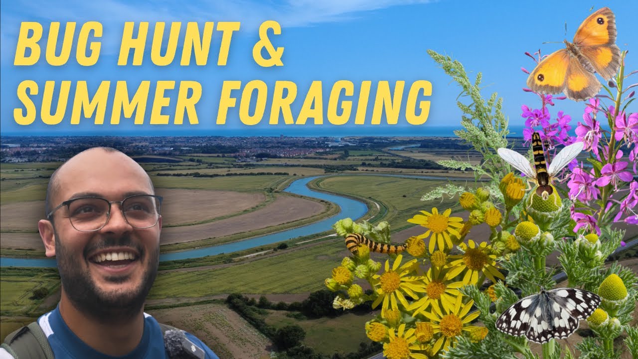 Summer Hiking – Foraging, Insects & Wild Camp on the Arun Way