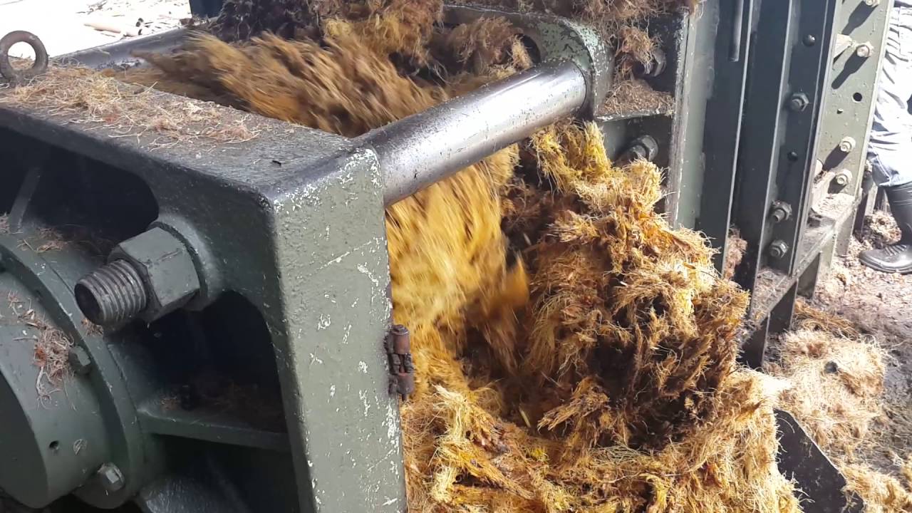 Empty BuncH press