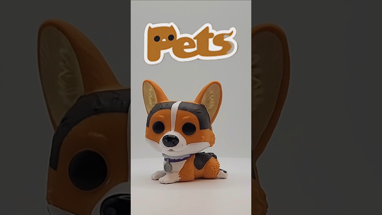 Corgi Funko Pop #corgi #corgipuppy #corgilove #funkopop #pets #dogs #dogshorts #funkopets #funko
