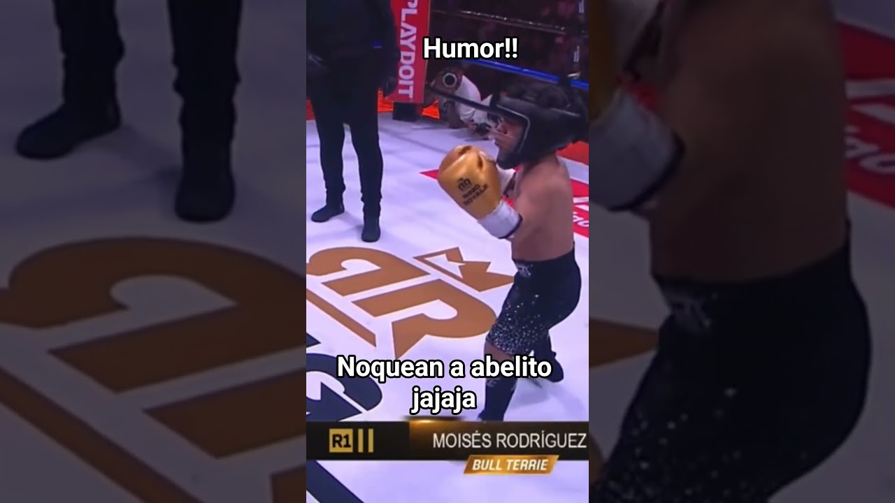 as&iacute; noquean a abelito y le ganan la pelea en RING ROYAL.