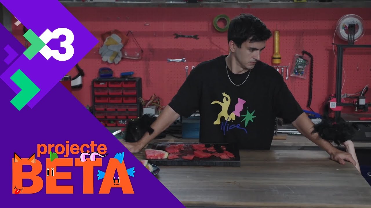 T6xC7 Teràpia de xoc - Projecte Beta