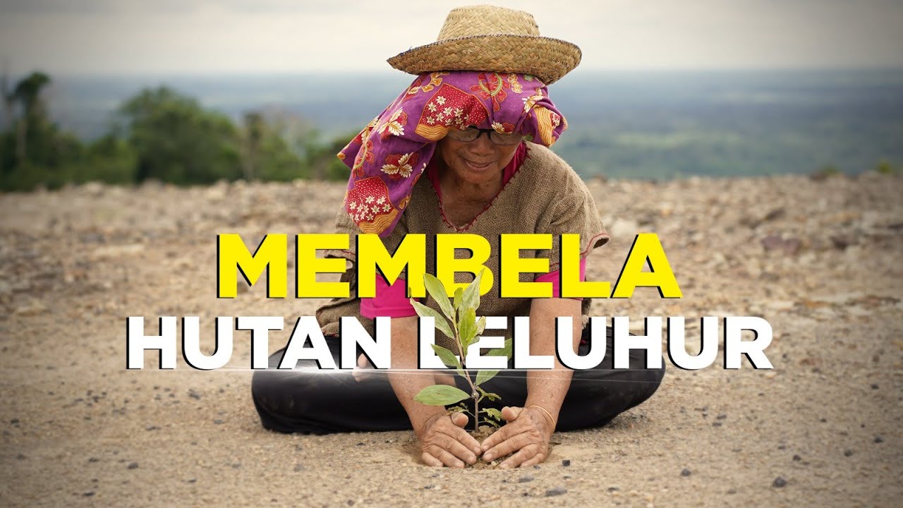 Penjaga Hutan Kalimantan: Misi Anak Muda Cegah Kerusakan Hutan