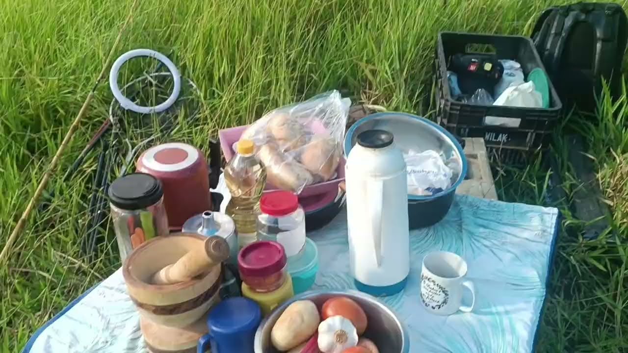 Acampamento 🏕️ e peixe frito no barranco do rio# pescaria #acampamento e peixe frito 