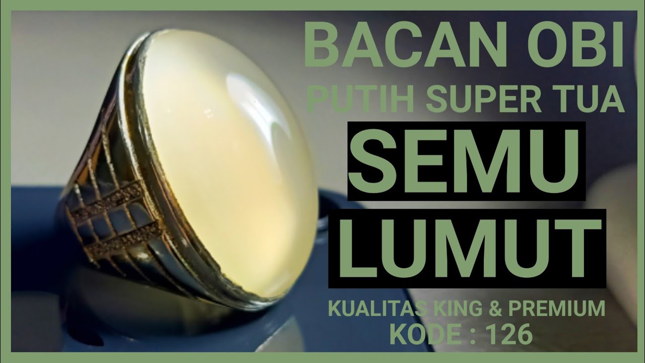 😍SOLD OUT😍 (KODE : 126) BACAN OBI PUTIH 