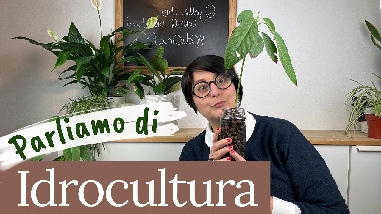 IDROCULTURA: tutto quello che devi sapere | idroponica e semidroponica | coltivare in acqua