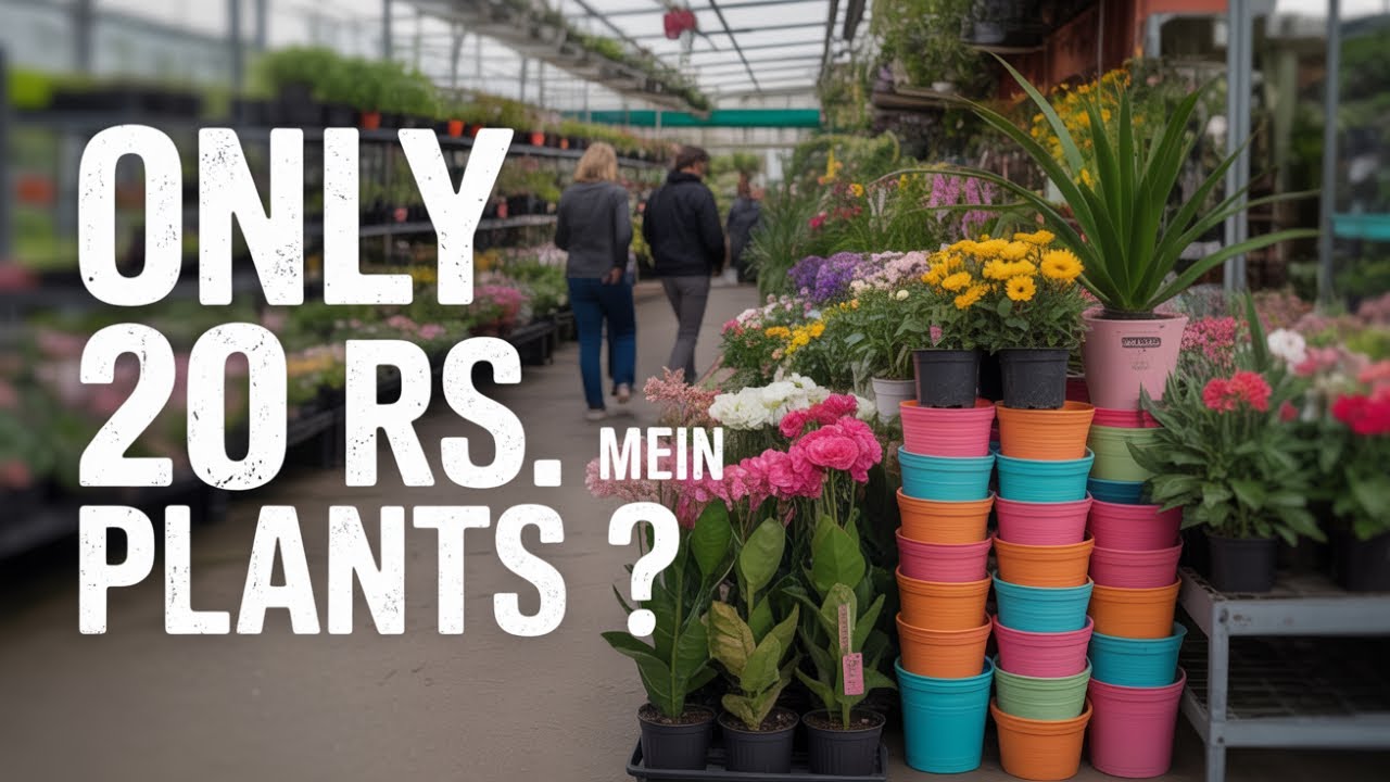 Yaha 20 Rupaye Mein Ped Paudhe Milte Hai? 🌿 Nagpur Ki Secret Nursery
