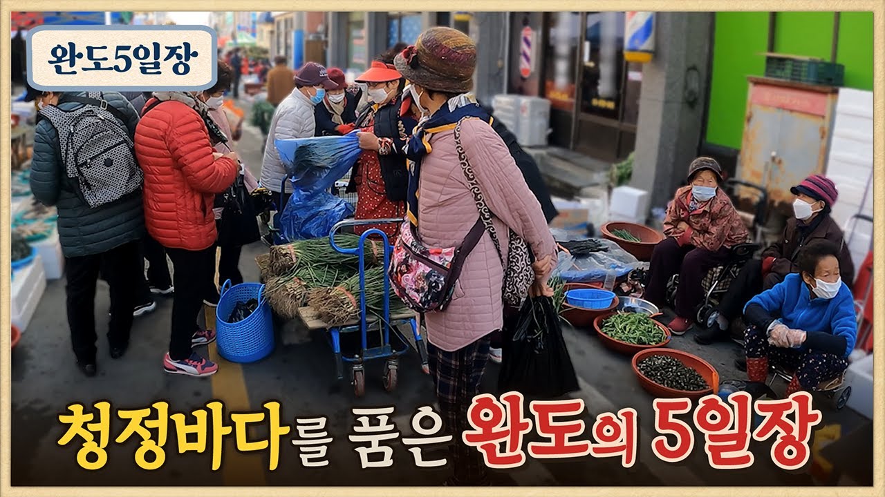 말린 고등어 먹어봤나요? / 귀하다는 말린 대우럭/해초전복김밥 / 다시마 꽈배기 / 오일장맛집 / 완도5일장