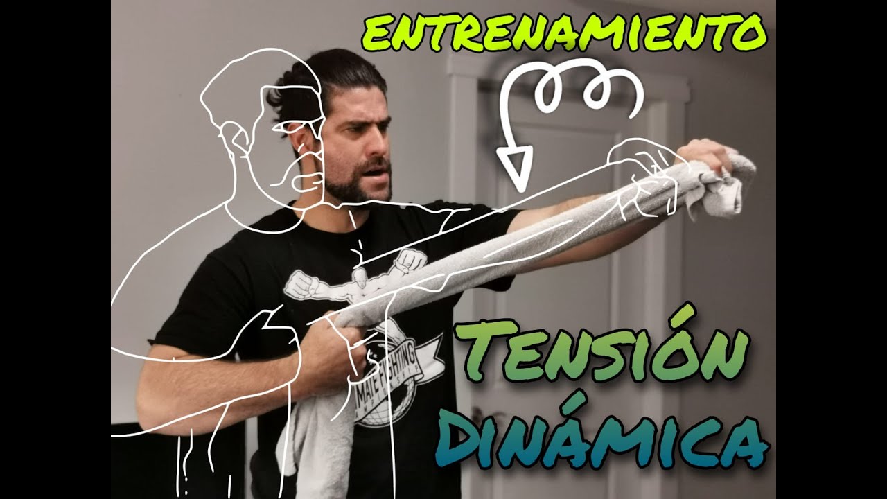 Fuerza y Tensión Dinámica