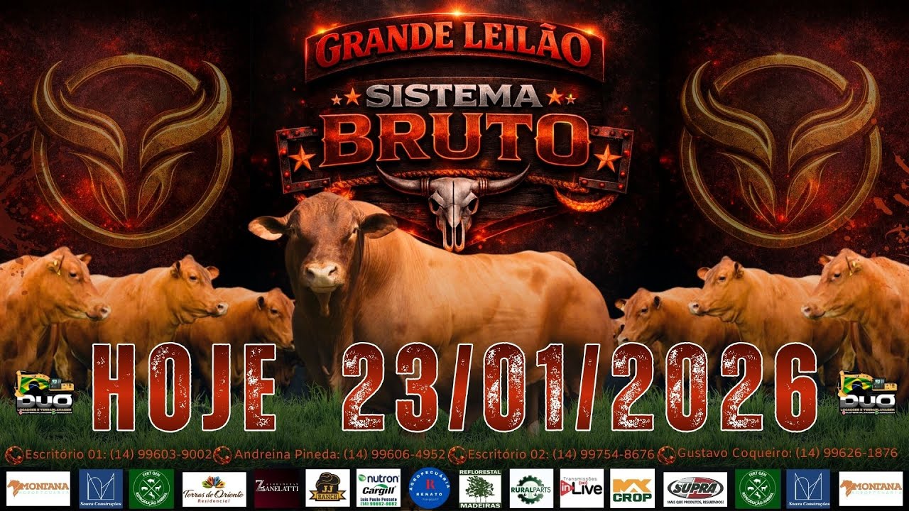 GRANDE LEILÃO SISTEMA BRUTO - FIGUEIRA LEILÕES - LEILÃO DE GADO AO VIVO - 23/01/26
