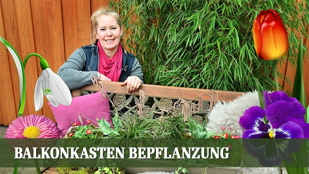 Balkonkasten Bepflanzung für den Frühling - Teil 2: Warme Farben