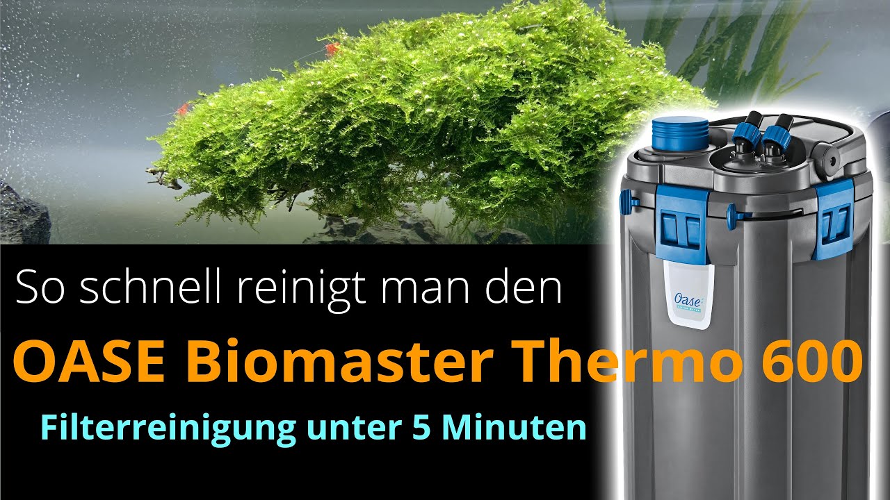 So schnell reinigt man den Oase Biomaster Thermo 600 - Filterreinigung unter 5 Minuten