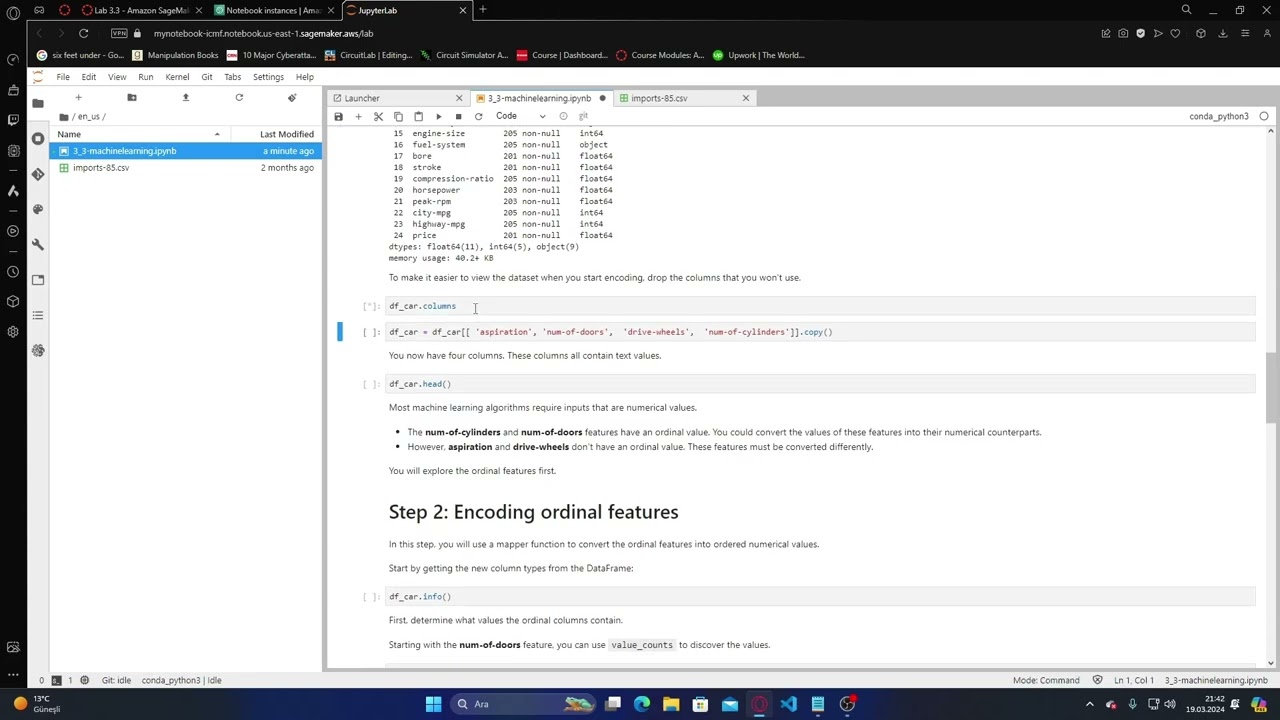 Data Science Homework 3 -Lab 3.3 - Amazon SageMaker - Encoding Categorical Data