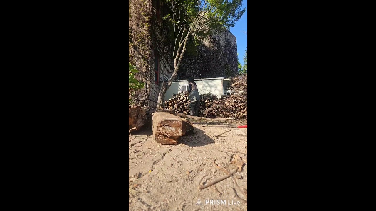 30년 정원&hellip; 건드리면 안될것을 건드렸다 Transforming a 30-Year-Old Neglected Garden