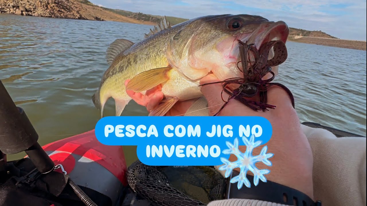 ❄️ Pesca ao ACHIGÃ com JIG no INVERNO 🥶 Demos com eles a comer 👌🏼