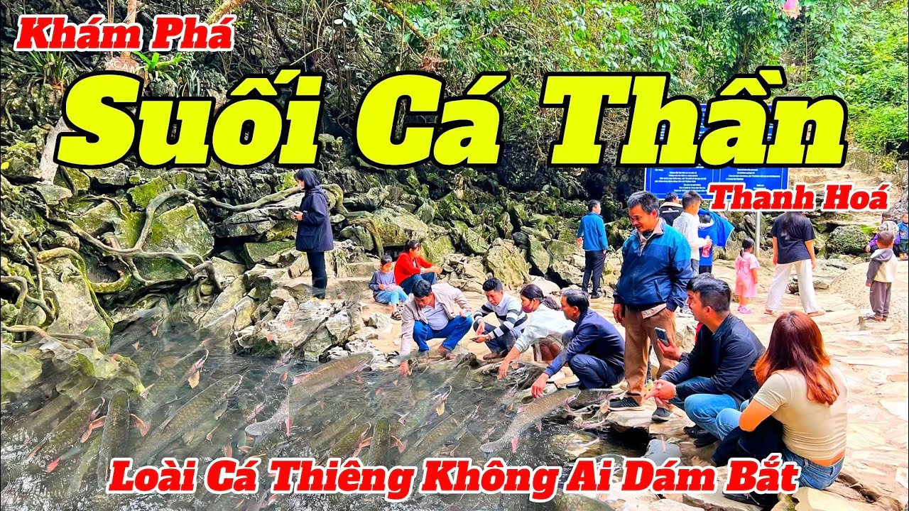 Trở Lại Suối Cá Thần Thanh Hóa Sau Hơn 1 Năm Và Những Câu Chuyện Bí Ẩn Dần Được Hé Lộ