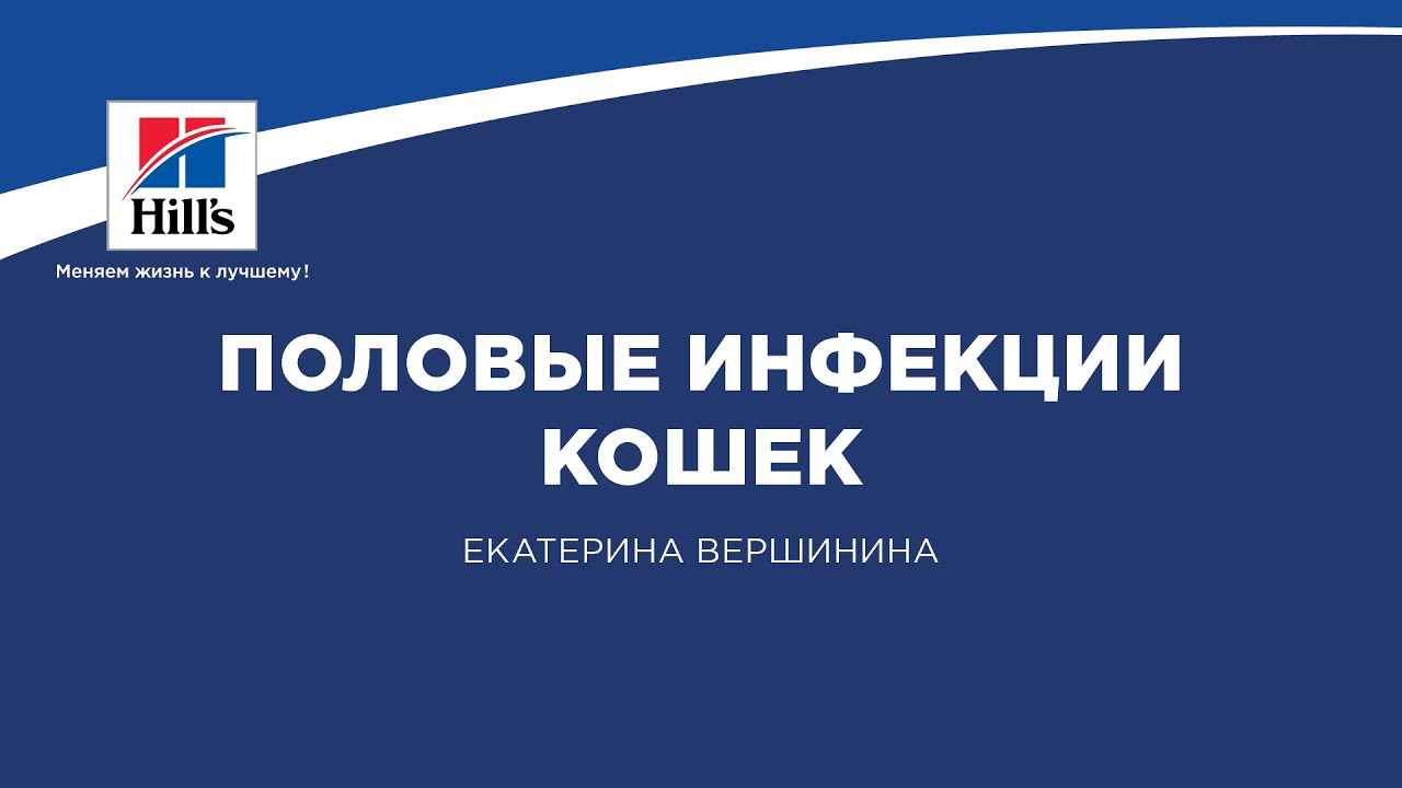 Вебинар на тему: «Половые инфекции кошек». Лектор – Екатерина Вершинина