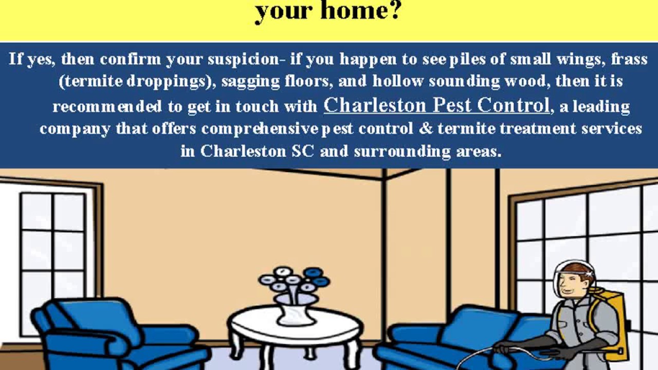 Connect with Charleston Pest Control to Get Rid of Termites