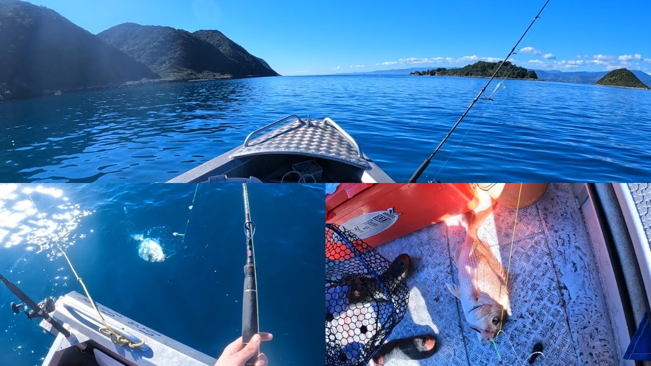 WINTER FISHING&DIVING KAPITI COAST - Snapper/King Tarakihi/Blue cod/Butterfish/Paua/Kahawai