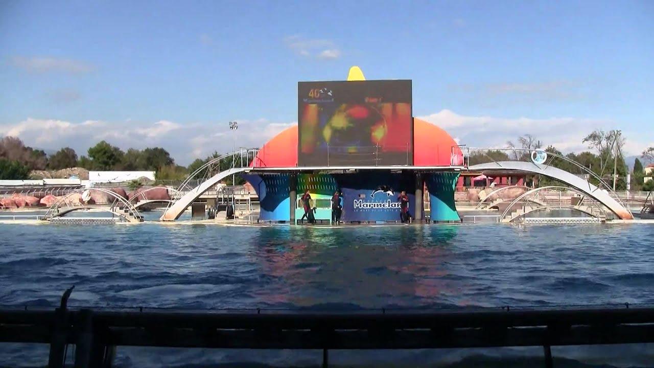 Marineland Antibes: Orca Show (1/2)