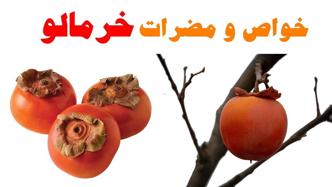 خواص و فواید باورنکردنی خرمالو